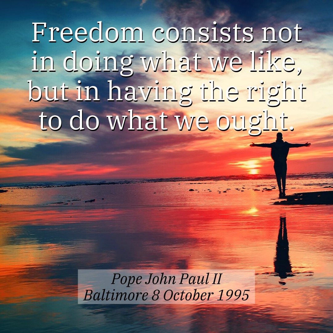 Freedom - Catholic Diocese of Broken Bay