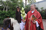 homily-for-palm-sunday-2019-thumb