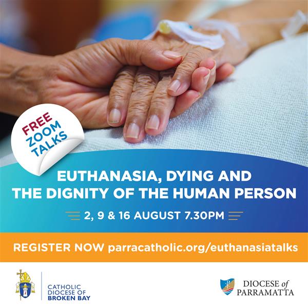 🆘 On the euthanasia list Wednesday 11/15 🆘 ⏰ Dibo needs a hold 𝗻𝗼
